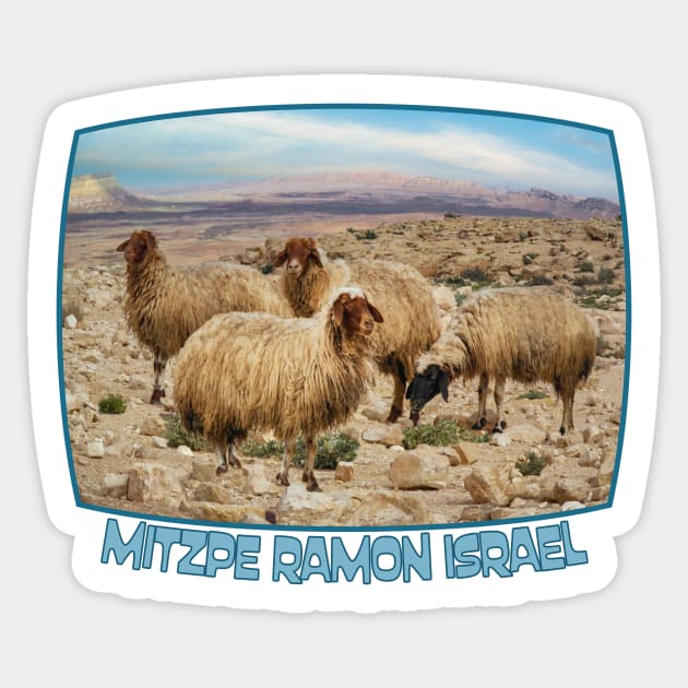 Israel, Mitzpe Ramon. Sheep at Ramon Crater Sticker by UltraQuirky